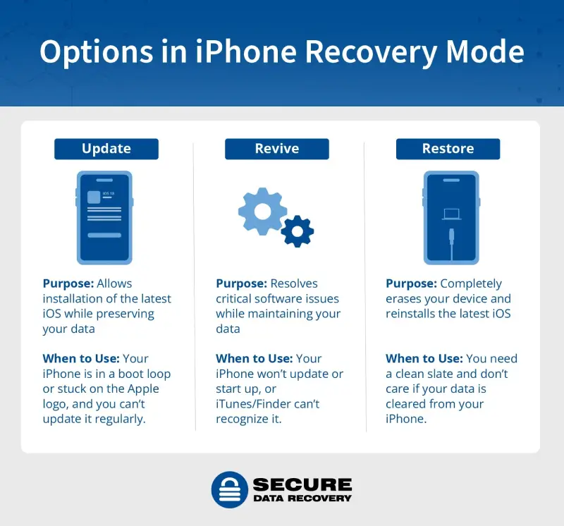 Options in iPhone recovery mode