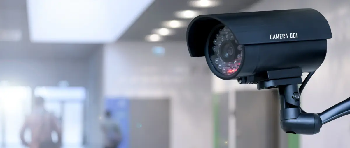 The Culture of Work Surveillance