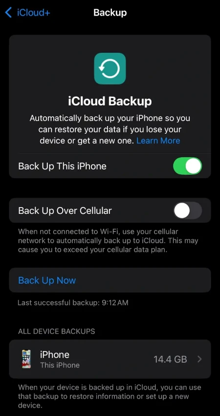 A screenshot showing the option to back up now with iCloud on iPhone.