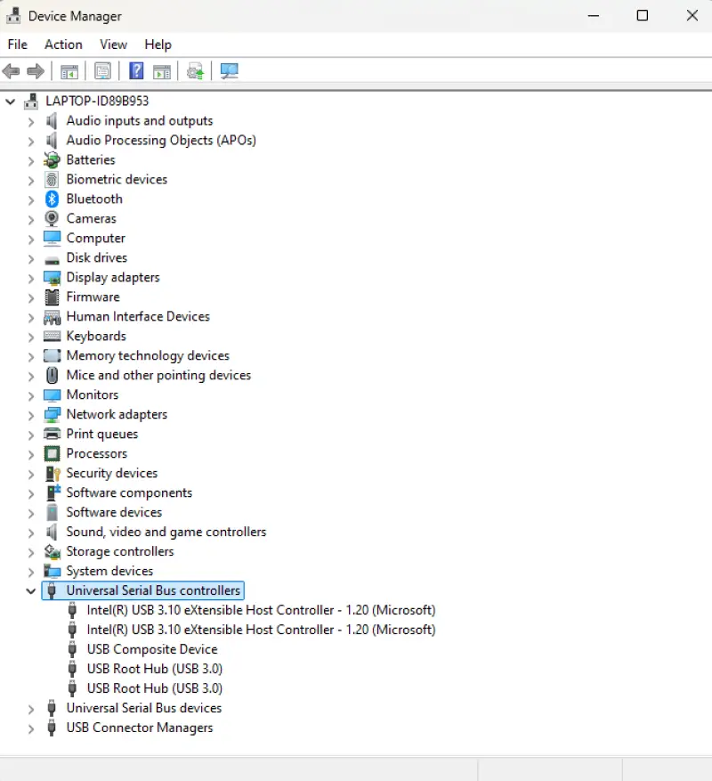 Universal Serial Bus controllers on Windows Device Manager