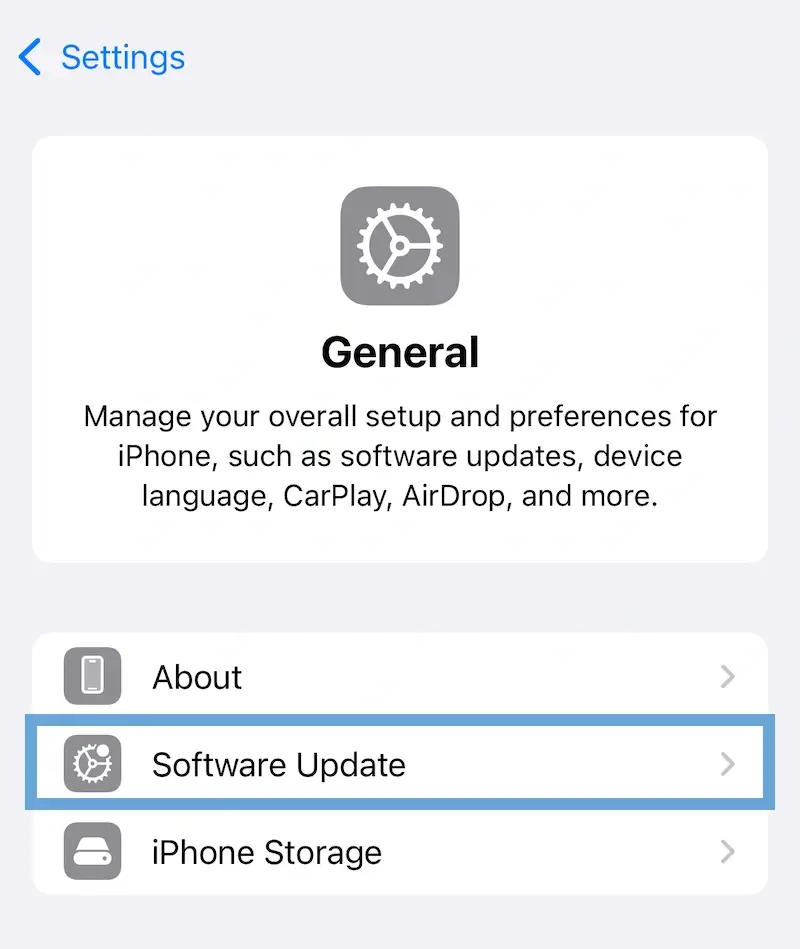 A screenshot of the General settings screen on iPhone.