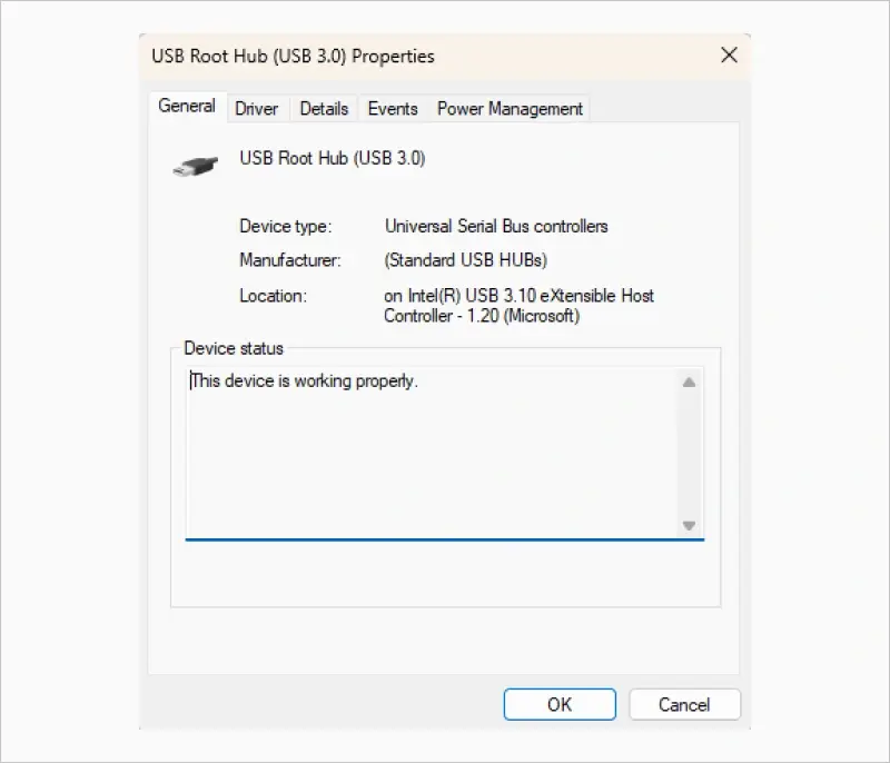 USB Root Hub Properties on Windows