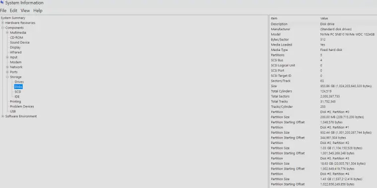 Screenshot showing the Disks panel in the System Information utility on Windows.